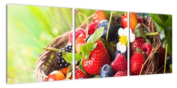 Obraz borůvek, jahod a malin (90x30cm)