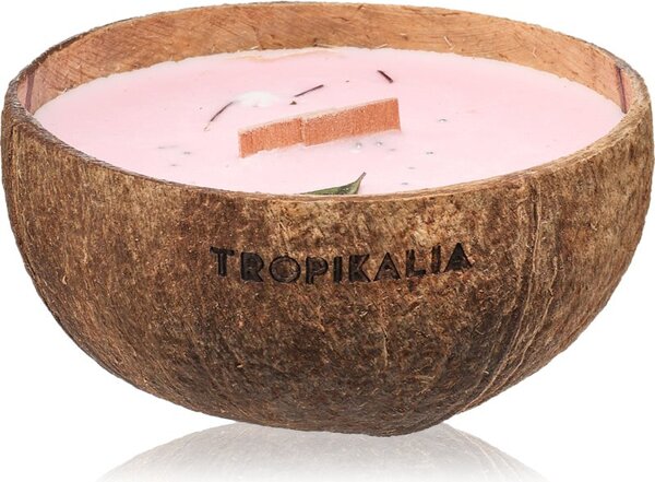 Tropicandle Frozen Cranberry vonná svíčka s dřevěným knotem 350 ml