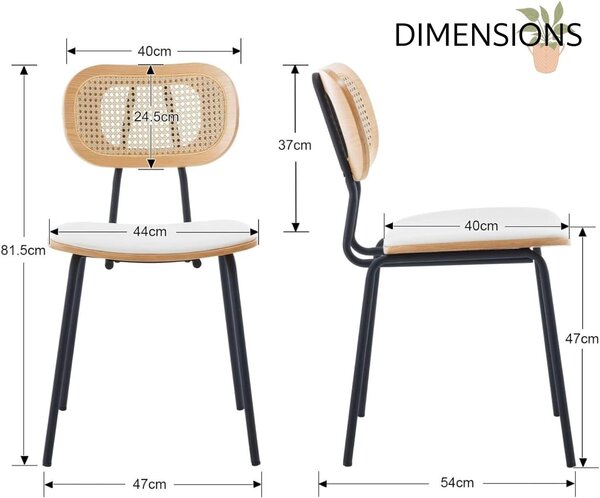 Jídelní židle - Židle - Kuchyňská židle - Ratanová židle - Designová židle - Sada 2 kusů - Bílá umělá kůže