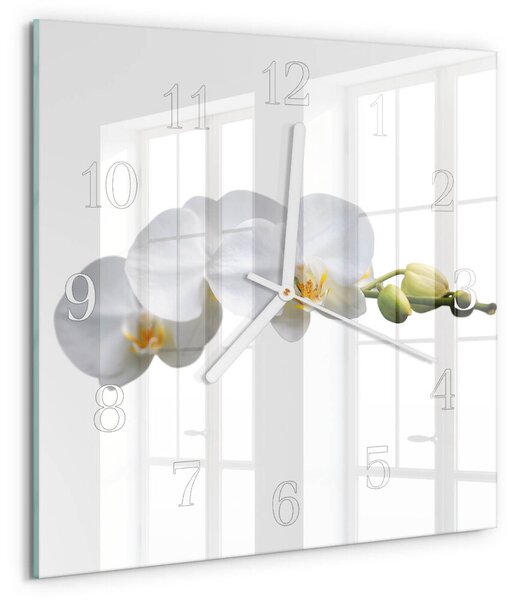 Skleněné hodiny Orchidej zskb-30x30-00082091