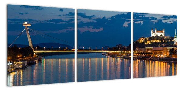 Obraz - Bratislava (90x30cm)