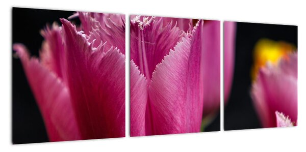Tulipány - obrazy (90x30cm)