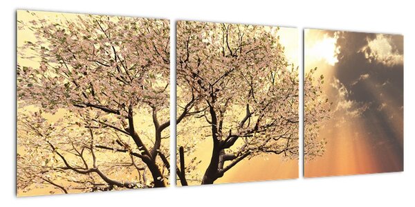 Obraz stromu (90x30cm)