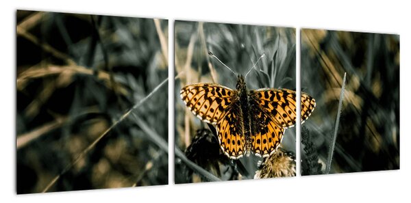 Obraz motýla (90x30cm)