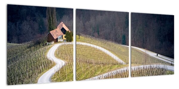 Cesta ve vinici ve tvaru srdce (90x30cm)