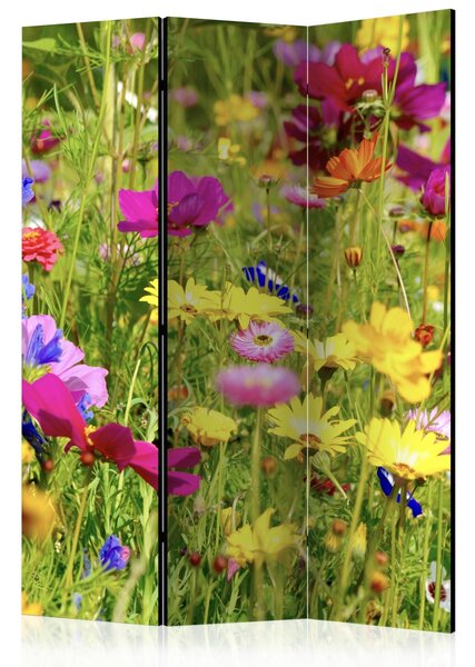 Paraván květinová louka Velikost (šířka x výška): 135x172 cm