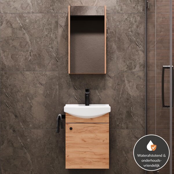 Koupelnový nábytek - Koupelnová skříňka - Skříňka pod umyvadlo - Podstavná skříňka - Zrcadlová skříňka - Rozměry: 45 x 60 x 33 cm