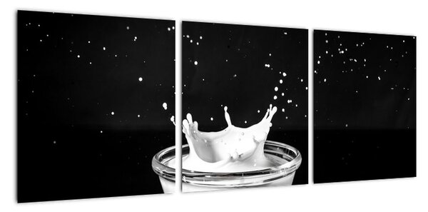 Obraz misky s mlékem (90x30cm)