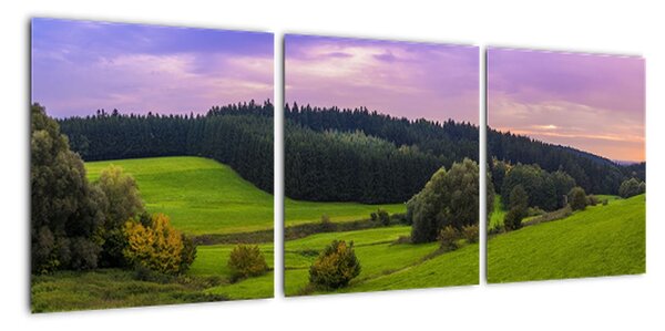 Obraz panorama krajiny (90x30cm)
