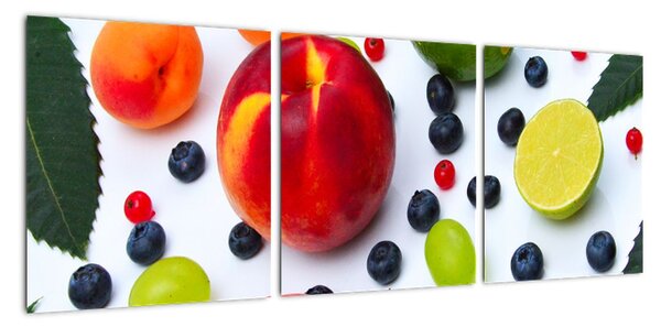 Obraz ovoce (90x30cm)