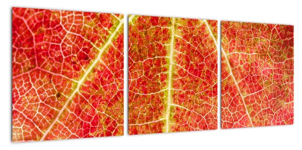 Abstraktní obraz (90x30cm)
