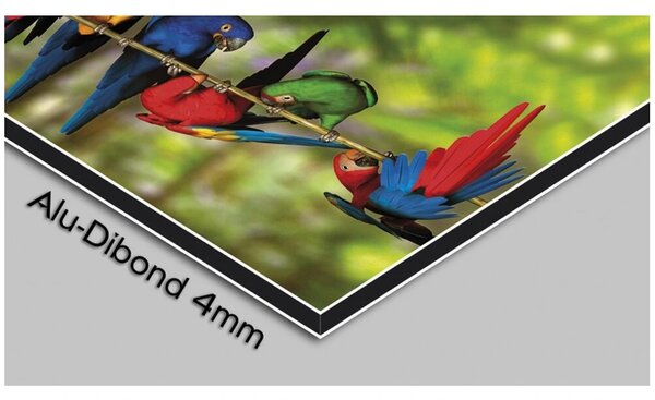 Designové nástěnné hodiny GR-033 DX-time 70cm