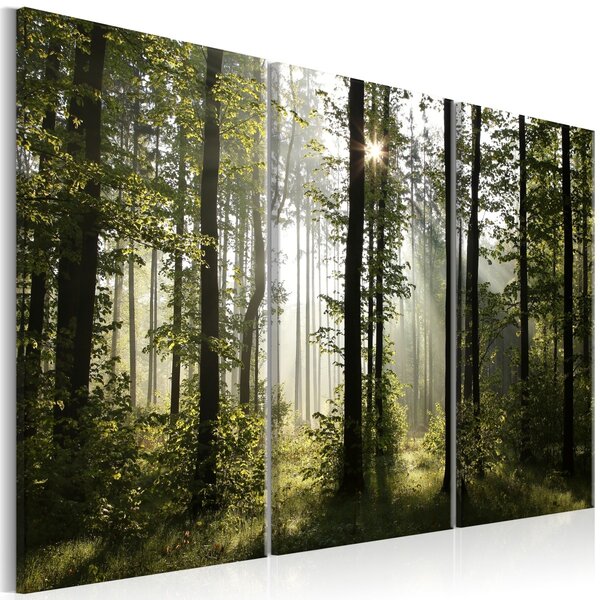 Třídílný obraz lesní kouzlo + háčky a hřebíčky ZDARMA Velikost (šířka x výška): 105x70 cm