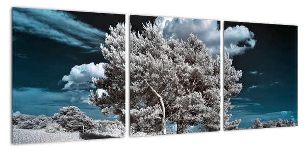 Strom v zimě, obraz na zeď (90x30cm)