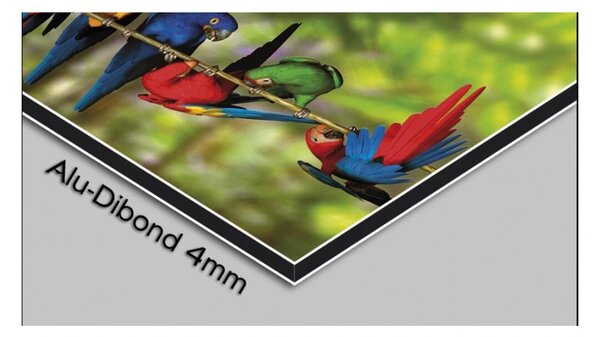 Designové nástěnné hodiny GR-034 DX-time 70cm