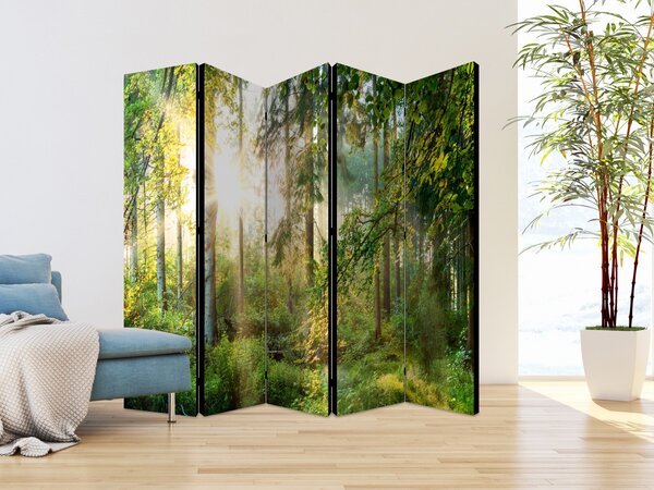 Paraván lesní tajemnství Velikost (šířka x výška): 225x172 cm
