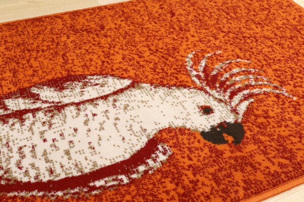 Alfa Carpets AKCE: Kusový koberec Kakadu orange - 190x280 cm