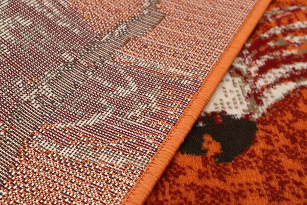 Alfa Carpets AKCE: Kusový koberec Kakadu orange - 190x280 cm