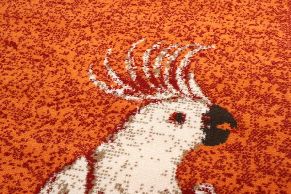 Alfa Carpets AKCE: Kusový koberec Kakadu orange - 190x280 cm