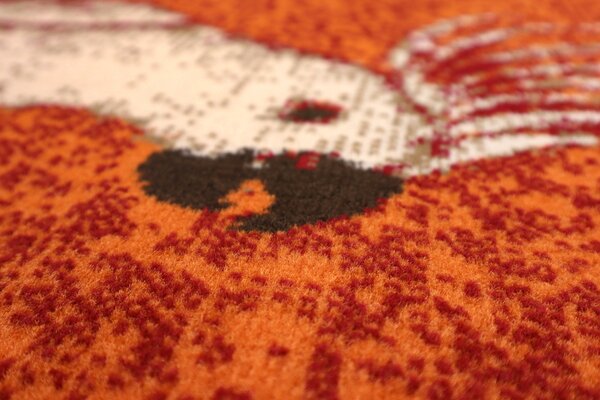 Alfa Carpets AKCE: Kusový koberec Kakadu orange - 190x280 cm