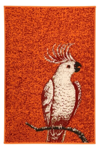 Alfa Carpets AKCE: Kusový koberec Kakadu orange - 190x280 cm