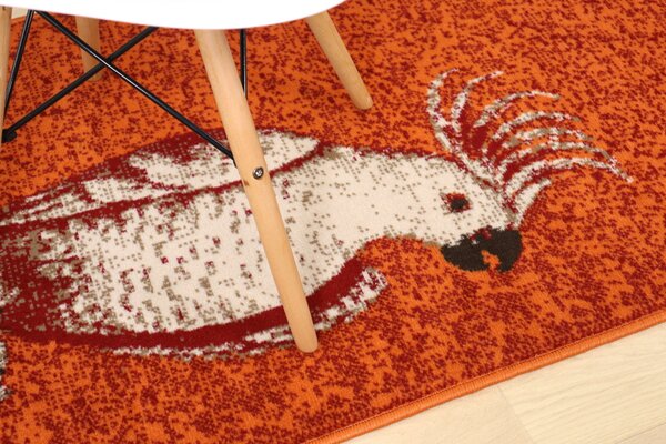 Alfa Carpets AKCE: Kusový koberec Kakadu orange - 190x280 cm