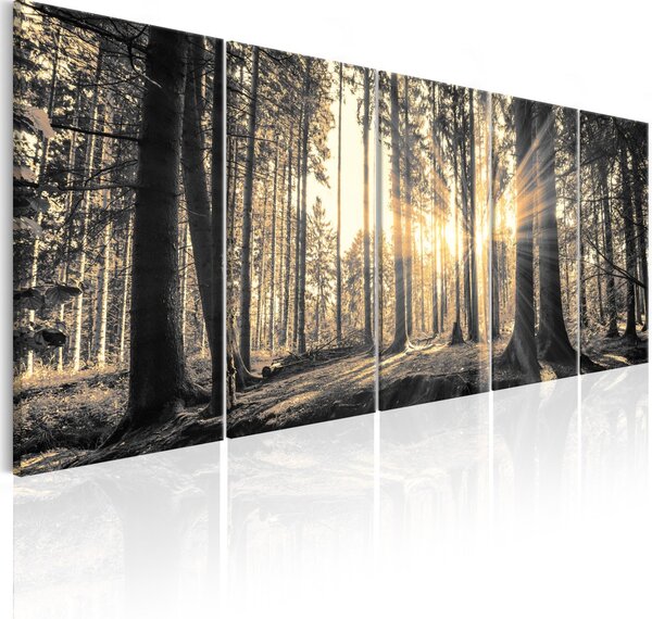 Malvis Pětidílný obraz - strážci lesa Velikost: 125x50 cm