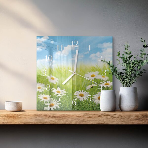 Skleněné hodiny Louka zskb-30x30-00087430