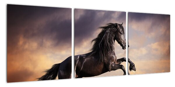 Kůň - obraz (90x30cm)