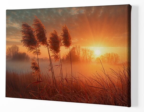 Obraz na plátně - Východ slunce ve slatinách FeelHappy.cz Velikost obrazu (šířka x výška): 40 x 30 cm