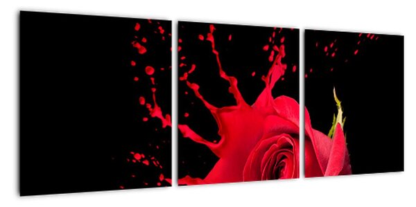 Abstraktní obraz růže - obraz (90x30cm)