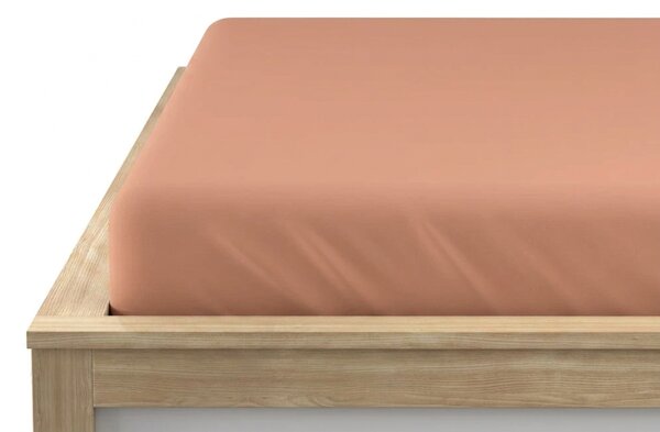 Jersey prostěradlo BASIC meruňkové 90 x 200 cm