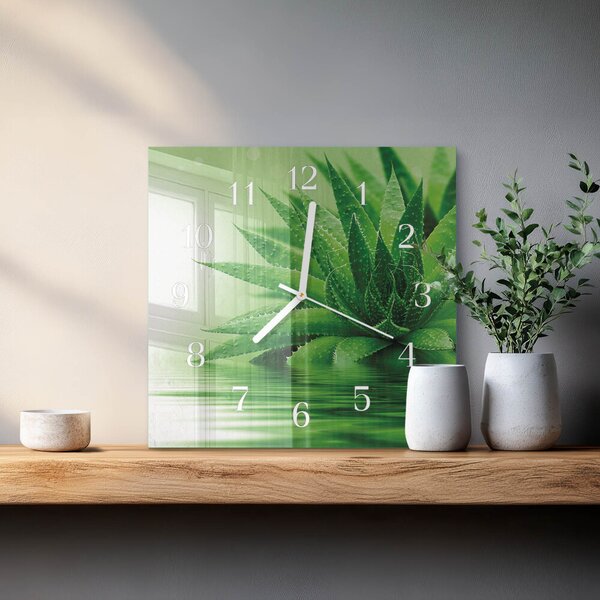Skleněné hodiny Aloe zskb-30x30-00083793