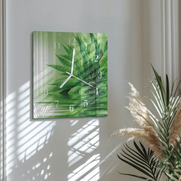 Skleněné hodiny Aloe zskb-30x30-00083793