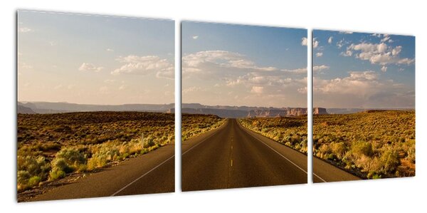 Panorama cesty - obraz (90x30cm)