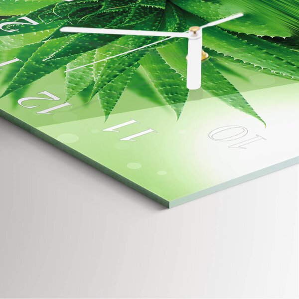 Skleněné hodiny Aloe zskb-30x30-00083793