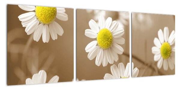 Obraz květiny (90x30cm)