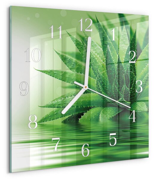 Skleněné hodiny Aloe zskb-30x30-00083793