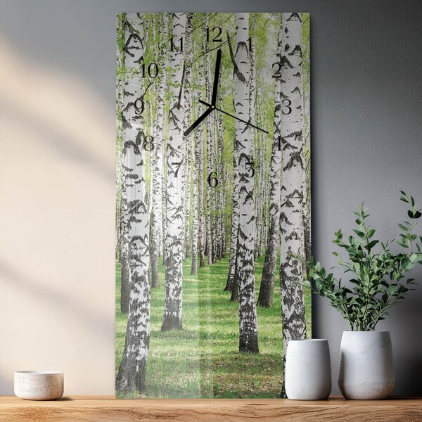 Skleněné hodiny vertikální Bříza zsppc-30x60-00176276