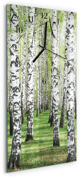Skleněné hodiny vertikální Bříza zsppc-30x60-00176276