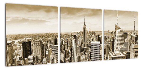 Panorama New York, obraz (90x30cm)