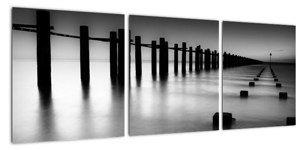Černobílé moře - obraz (90x30cm)