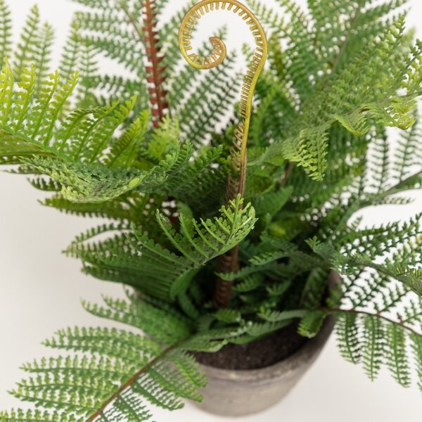 LÉTO -15% Umělá květina Kave Home Filicopsida 35 cm