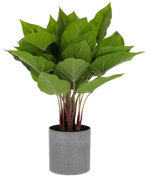 OnaDnes -20% Umělá květina Kave Home Anthurium 50 cm