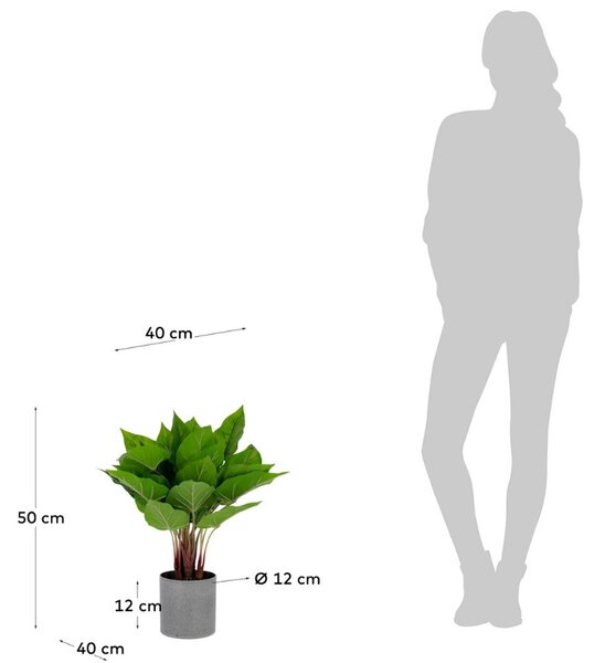 Umělá květina Kave Home Anthurium 50 cm