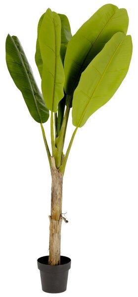 OnaDnes -20% Umělá květina Kave Home Banana 160 cm