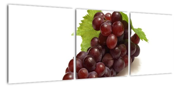 Hroznové víno, obraz (90x30cm)