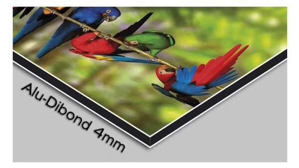 Designové nástěnné hodiny 3DS-0285 DX-time 35cm