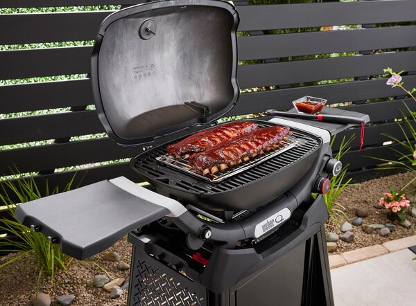 Weber Plynový gril Q2800N+ Premium Stand
