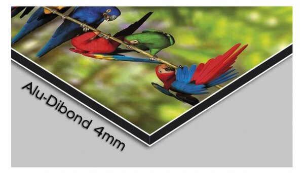 Designové nástěnné hodiny 6047-0002 DX-time 40cm